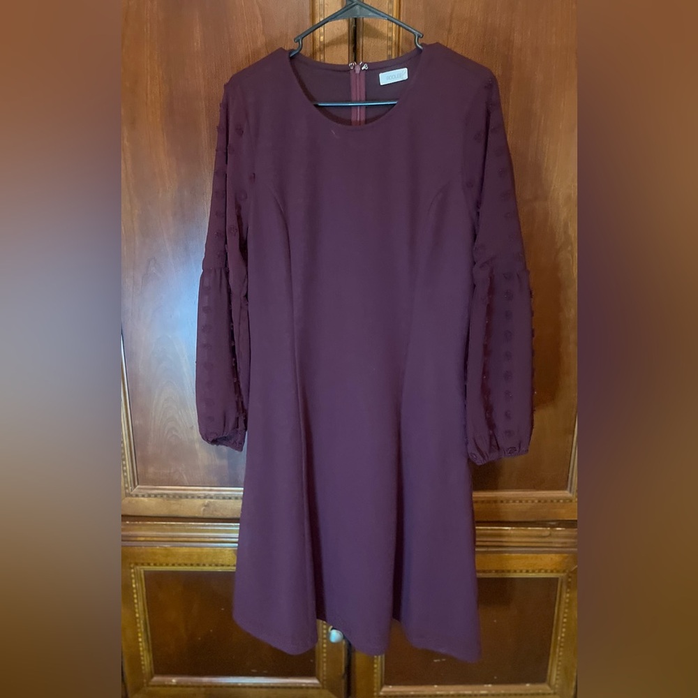 Roolee Deep Burgundy Long Sleeve Dress